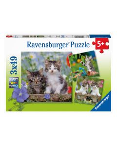 Ravensburger - Jigsaw puzzle Young Kittens, 3x49pcs. 080465