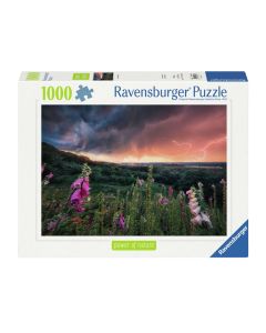 Ravensburger - Jigsaw puzzle Ein Sturm Zieht Auf, 1000pcs. 12000793 7