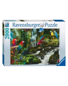 Ravensburger - Variegated Parrots in the Jungle Jigsaw Puzzle, 2000pcs. 171118