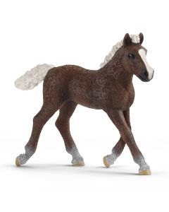 Schleich Black Forest Foal