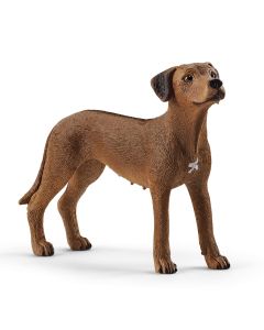 Schleich Rhodesian Ridgeback