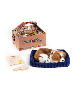 Perfect Petzzz Soft Cavelier King Charles