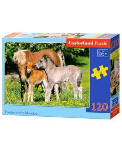 Puzzle Pony's in the Wei, 120pcs.