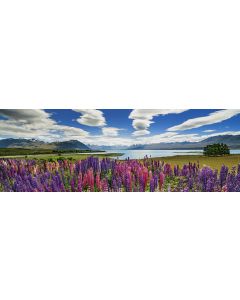 Puzzle Lake Tekapo 1000 Panor.Heye 29902