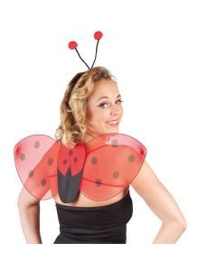 Verkleedset Ladybug