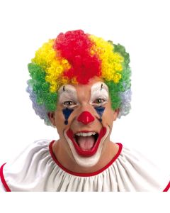 Multi Color Clown Wig Adult