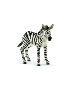 Schleich Zebra Young