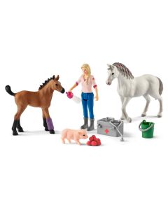 Schleich Vet visiting Merrie and Veulen