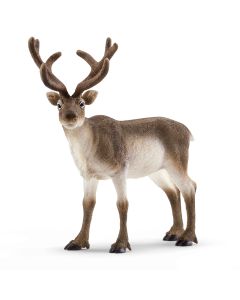 Schleich Reindeer