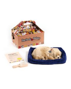 Perfect Petzzz Soft Golden Retriever