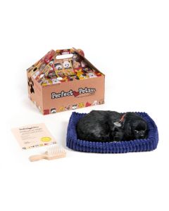 Perfect Petzzz Soft Black Lab