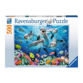 Dolphins in the coral reef, 500st.